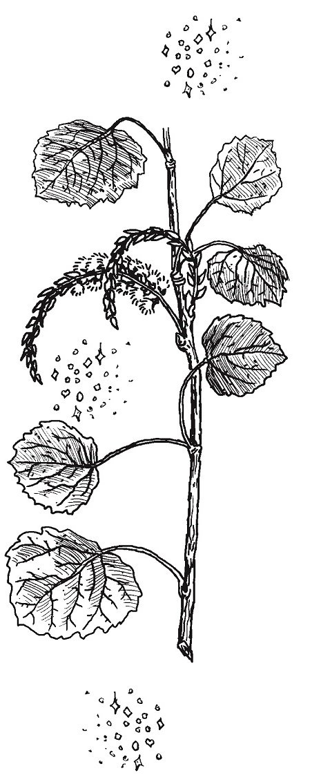 Иллюстрация к книге — Совершенно не обязательные смерти [img10b0b186fff043edb6ddbc4a63f6c4c2.jpg]