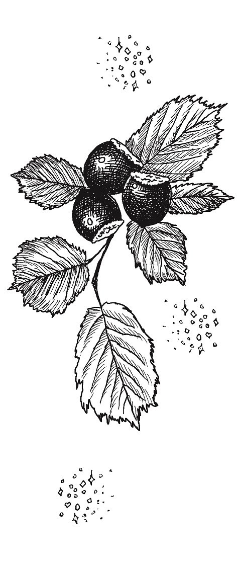 Иллюстрация к книге — Совершенно не обязательные смерти [img1491abd72c2a4cffbf55e63120617da4.jpg]