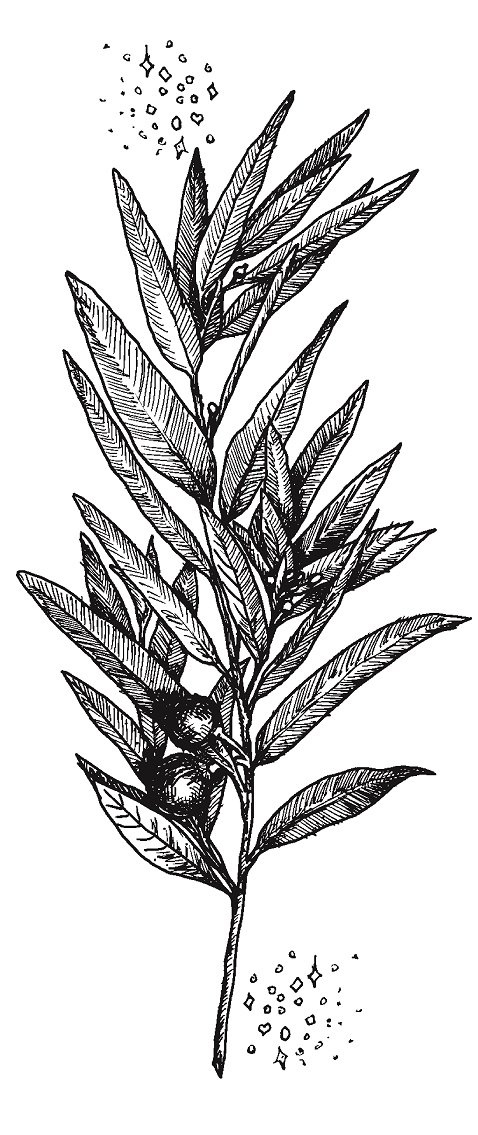 Иллюстрация к книге — Совершенно не обязательные смерти [img156369033102470d9f5919936180578f.jpg]