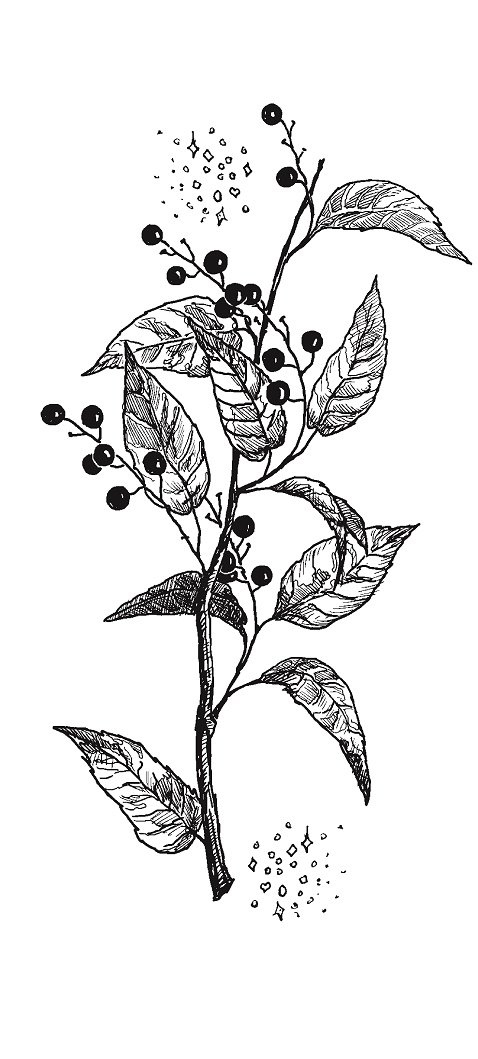 Иллюстрация к книге — Совершенно не обязательные смерти [img28e9deb81d56433e936e217d530ab79c.jpg]