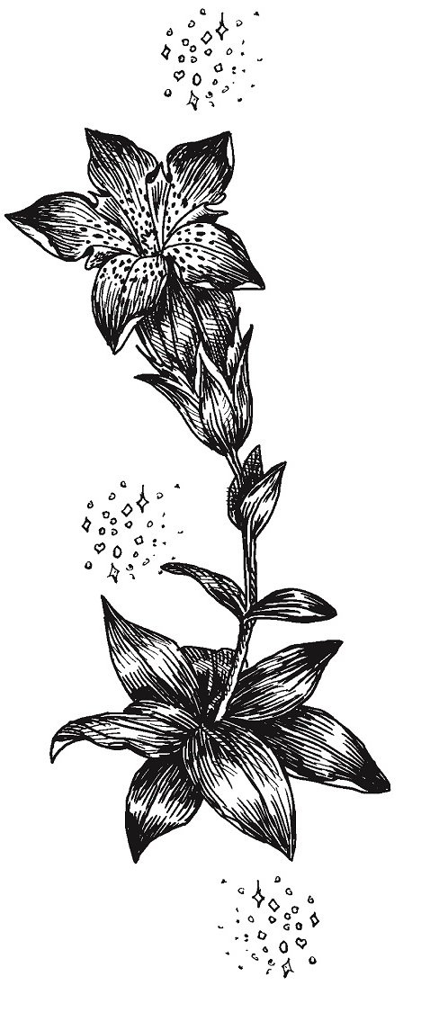 Иллюстрация к книге — Совершенно не обязательные смерти [img313eaad9e895440a88e29be8f273a620.jpg]