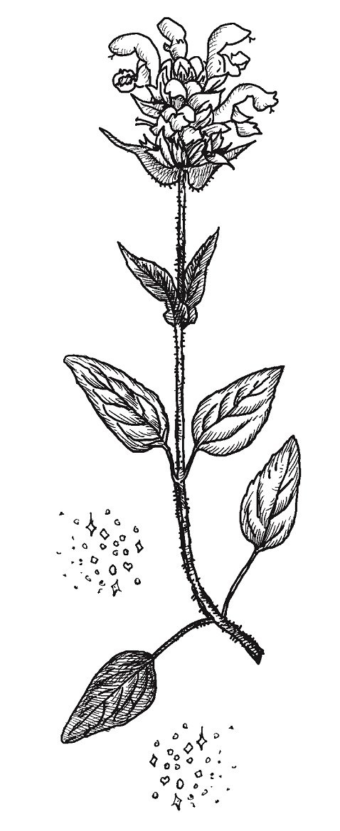 Иллюстрация к книге — Совершенно не обязательные смерти [img38ec03676f084e4bb89862f4bcf25efd.jpg]