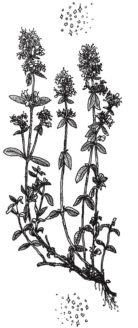 Иллюстрация к книге — Совершенно не обязательные смерти [img3deb0a70ca3f424f83141f34a3c134e8.jpg]