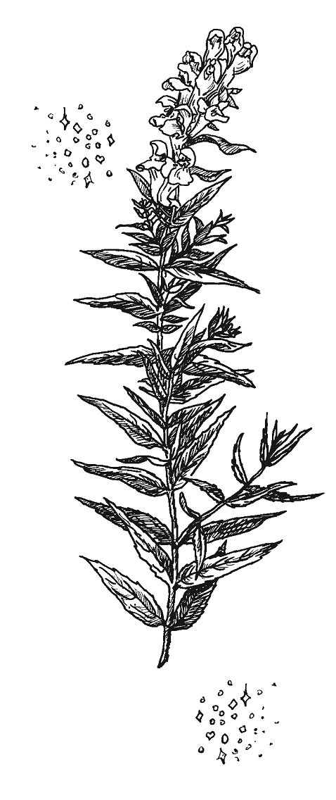 Иллюстрация к книге — Совершенно не обязательные смерти [img44e45194b4c04176ab81f32928c169be.jpg]