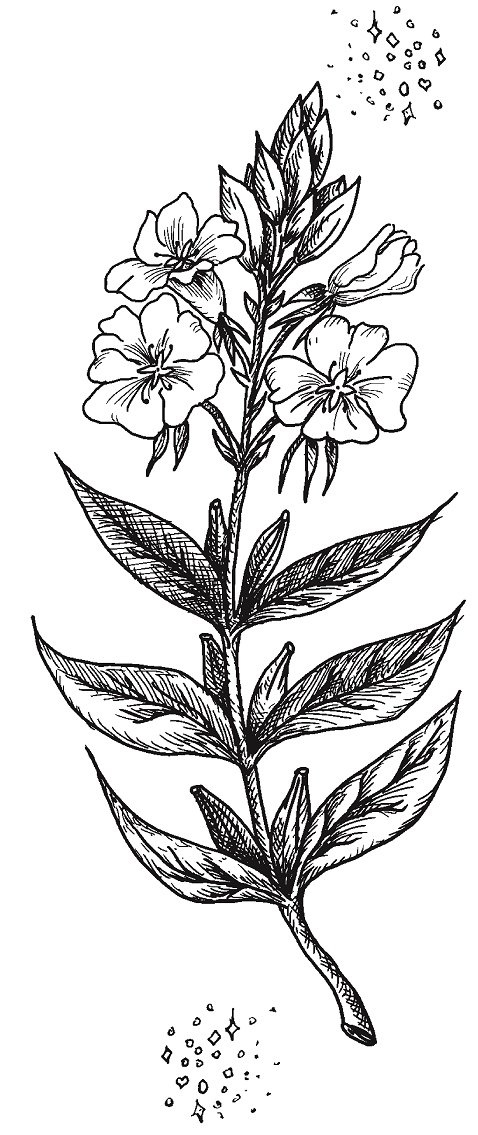 Иллюстрация к книге — Совершенно не обязательные смерти [img634ae81c75a845f5b18b2c7054ca1dd4.jpg]