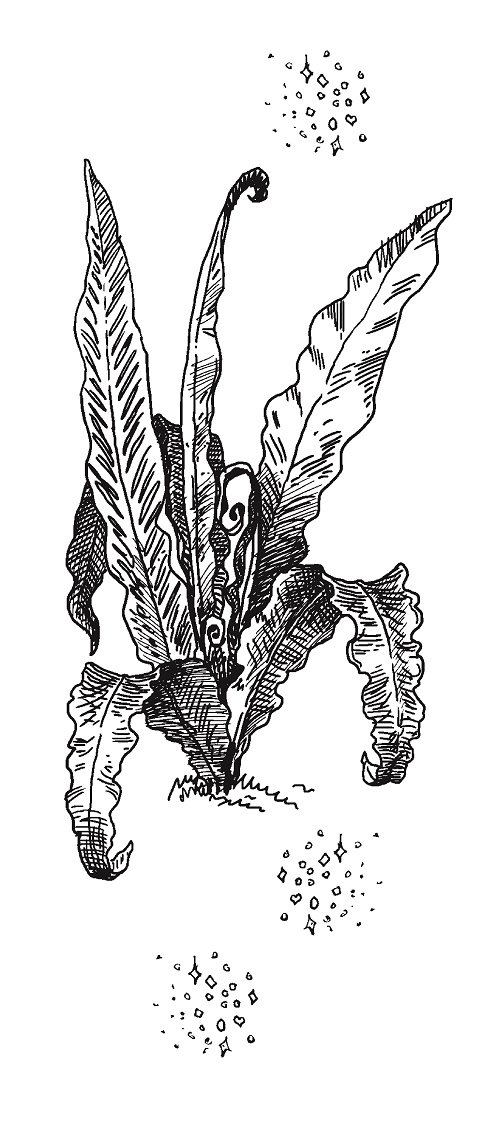 Иллюстрация к книге — Совершенно не обязательные смерти [img688d1ad9215249c38d1a26512d26e301.jpg]