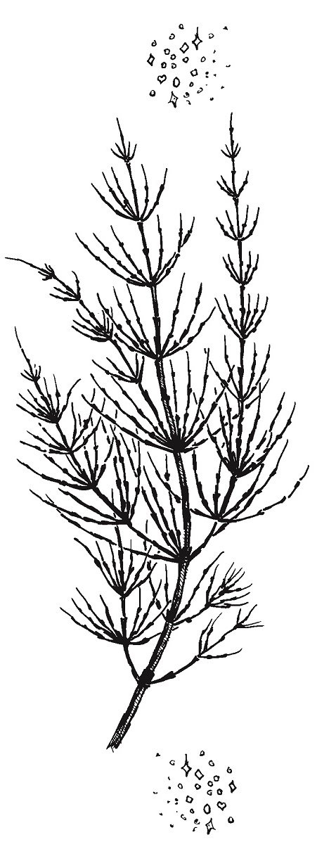 Иллюстрация к книге — Совершенно не обязательные смерти [img89318bb155934ab4bb2cb0533d2ea532.jpg]