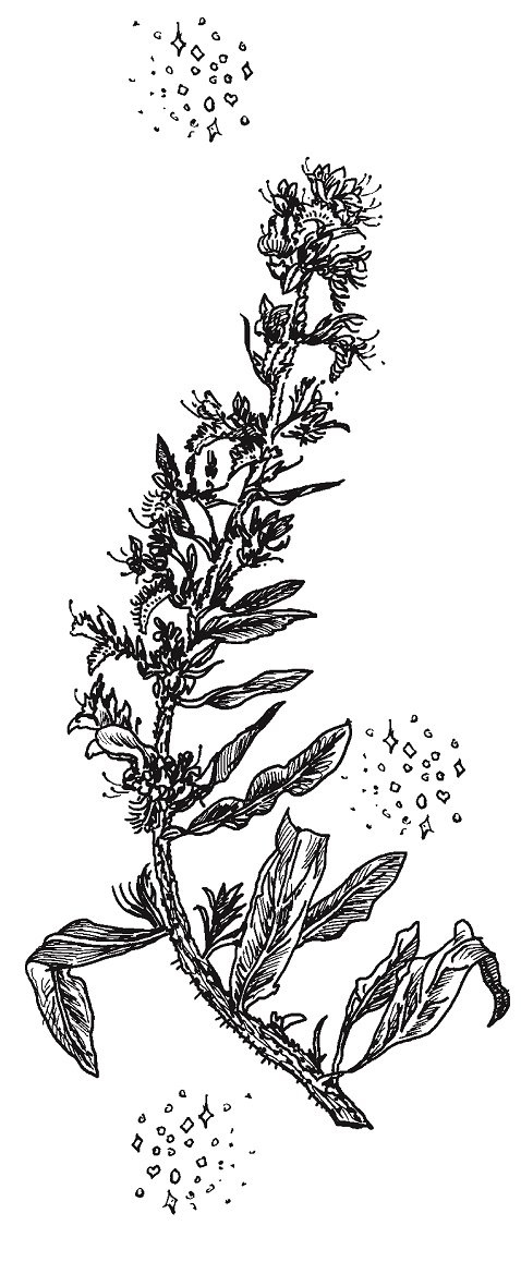 Иллюстрация к книге — Совершенно не обязательные смерти [img9bcf7f2dbfcc4a3885395ab149c122b0.jpg]