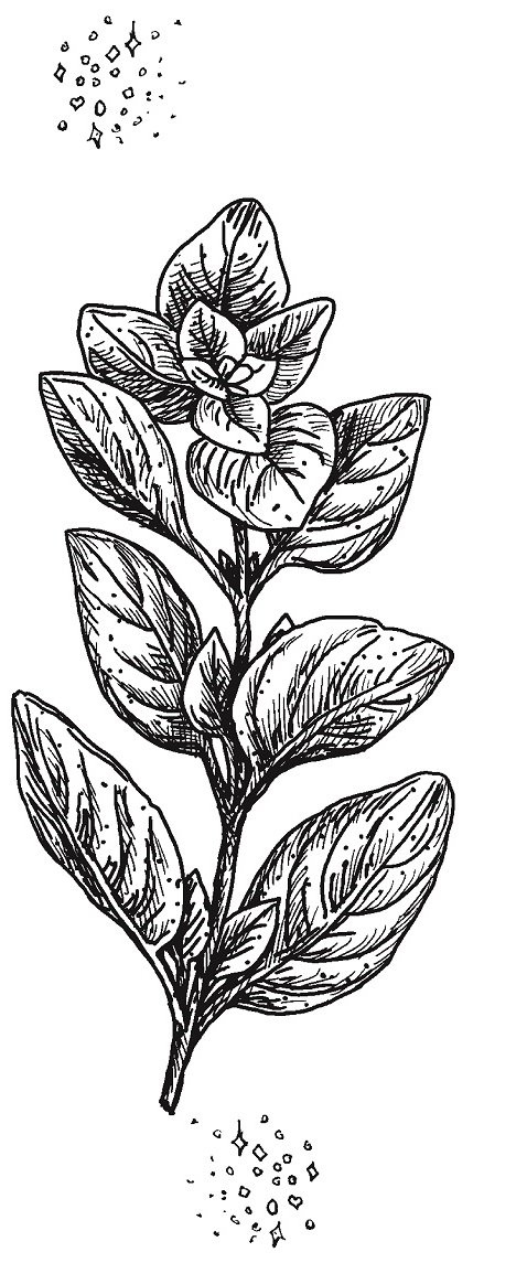 Иллюстрация к книге — Совершенно не обязательные смерти [imgb0952c324fc24854894d042d23bfc37b.jpg]