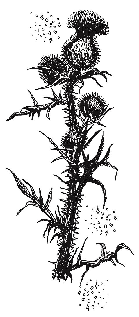 Иллюстрация к книге — Совершенно не обязательные смерти [imgc910c37398f243018e9216ce30a87a30.jpg]