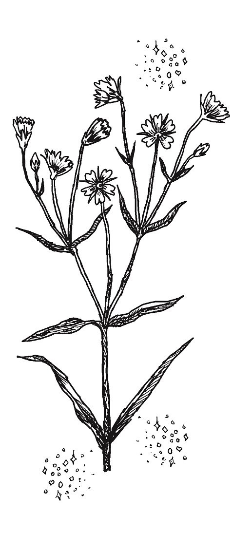 Иллюстрация к книге — Совершенно не обязательные смерти [imgc9546e635c6c4f53b40365ff51004c5b.jpg]