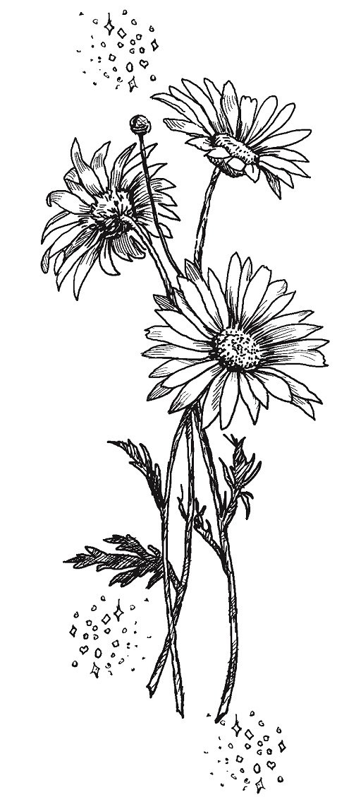 Иллюстрация к книге — Совершенно не обязательные смерти [imgd136c0a9f3c141b29f4ced754bf27d48.jpg]