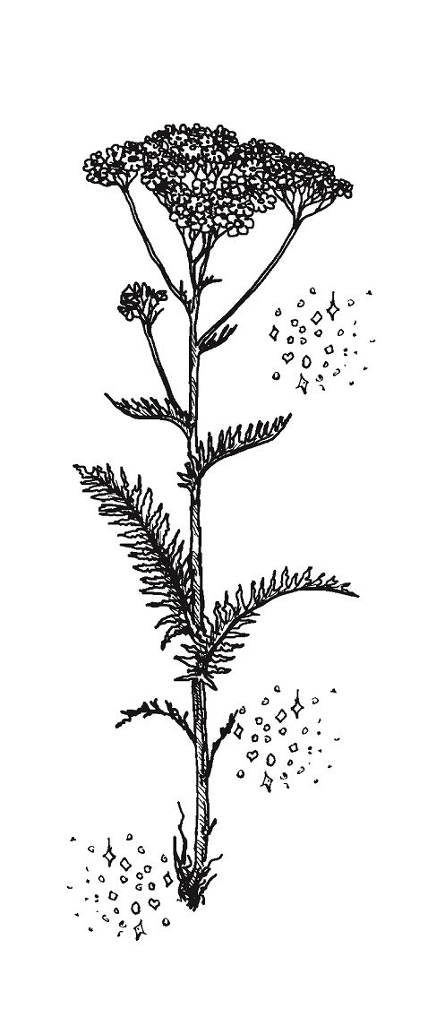 Иллюстрация к книге — Совершенно не обязательные смерти [imgdad5833fe42b4a78b5a05efb6fe557e1.jpg]