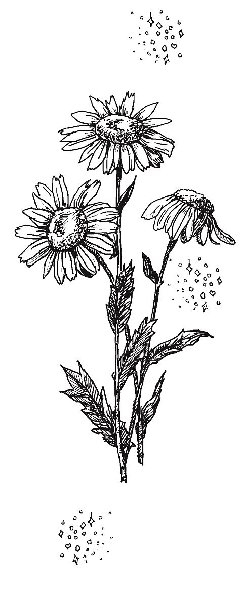 Иллюстрация к книге — Совершенно не обязательные смерти [imgdedb6b91645d417a883019cc64a25cf2.jpg]