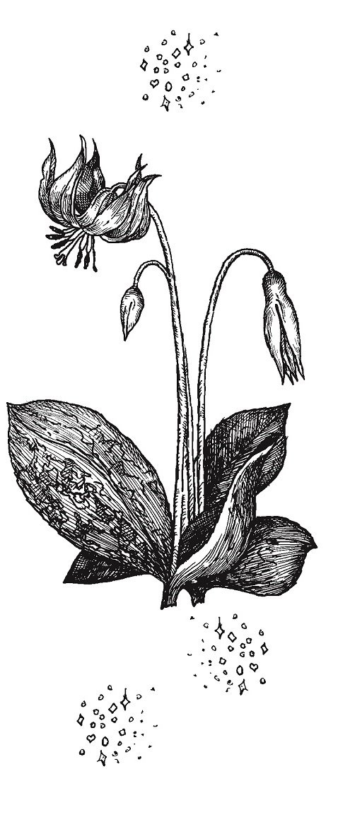 Иллюстрация к книге — Совершенно не обязательные смерти [imgfa2748b0220748c5b6f992f92d679822.jpg]