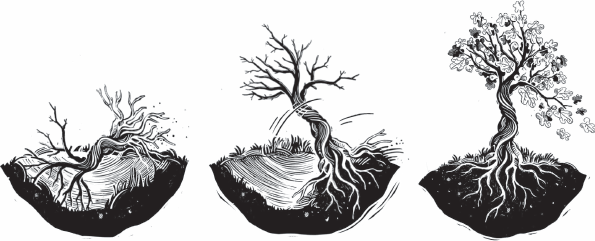 Иллюстрация к книге — Остров пропавших деревьев [i_005.jpg]