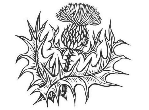 Иллюстрация к книге — Шотландия. Земля кланов [i_004.jpg]