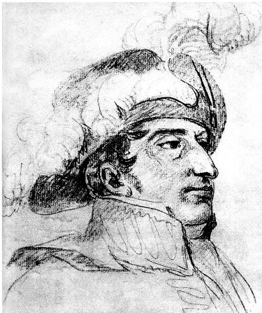 Иллюстрация к книге — Армия Наполеона [i_011.jpg]