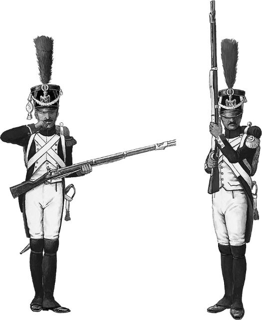 Иллюстрация к книге — Армия Наполеона [i_061.jpg]