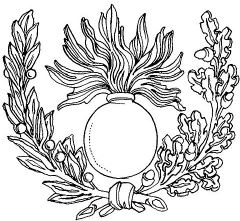 Иллюстрация к книге — Армия Наполеона [i_074.jpg]