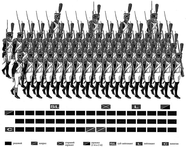 Иллюстрация к книге — Армия Наполеона [i_075.jpg]