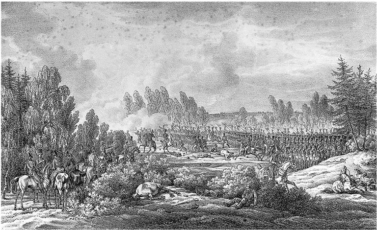 Иллюстрация к книге — Армия Наполеона [i_106.jpg]