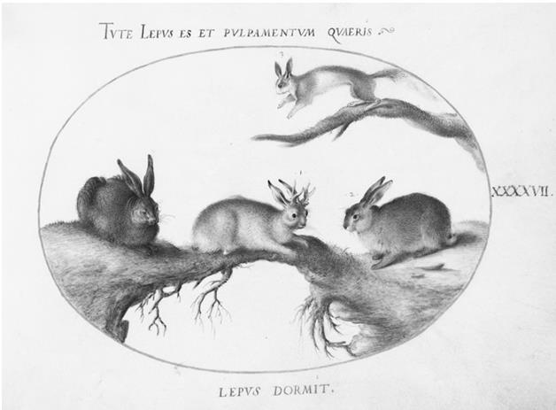 Иллюстрация к книге — В зоне риска. Тонкости защиты женского организма. Как ВПЧ проникает в наш организм, чем он опасен и что поможет избежать последствий [i_005.jpg]