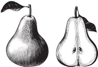 Иллюстрация к книге — В зоне риска. Тонкости защиты женского организма. Как ВПЧ проникает в наш организм, чем он опасен и что поможет избежать последствий [i_011.jpg]