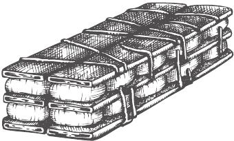 Иллюстрация к книге — В зоне риска. Тонкости защиты женского организма. Как ВПЧ проникает в наш организм, чем он опасен и что поможет избежать последствий [i_013.jpg]