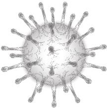 Иллюстрация к книге — В зоне риска. Тонкости защиты женского организма. Как ВПЧ проникает в наш организм, чем он опасен и что поможет избежать последствий [i_025.jpg]