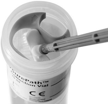 Иллюстрация к книге — В зоне риска. Тонкости защиты женского организма. Как ВПЧ проникает в наш организм, чем он опасен и что поможет избежать последствий [i_038.jpg]