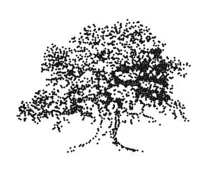 Иллюстрация к книге — Блюз черных дыр и другие мелодии космоса [i_001.jpg]