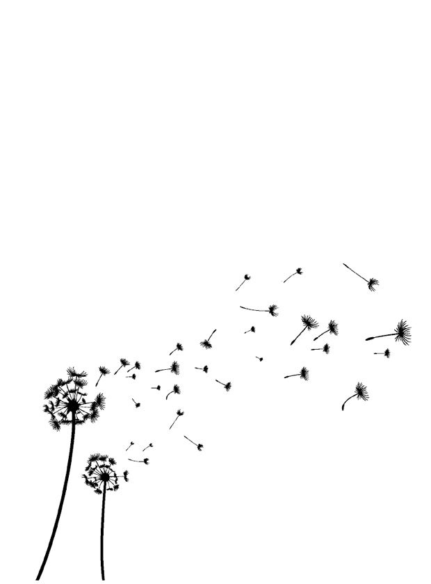 Иллюстрация к книге — Ведьма [i_010.jpg]