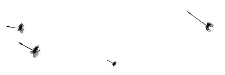 Иллюстрация к книге — Ведьма [i_012.jpg]