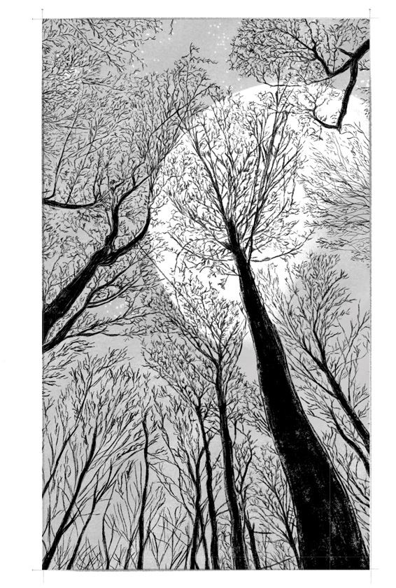 Иллюстрация к книге — Ведьма [i_013.jpg]