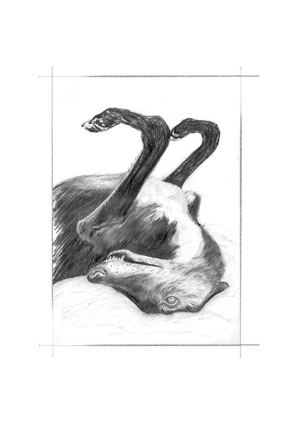 Иллюстрация к книге — Ведьма [i_020.jpg]