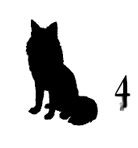 Иллюстрация к книге — Ведьма [i_023.jpg]