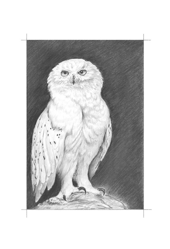 Иллюстрация к книге — Ведьма [i_028.jpg]