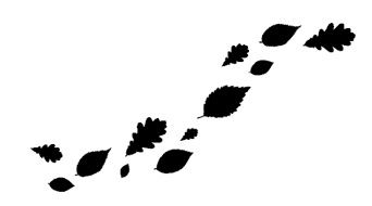 Иллюстрация к книге — Ведьма [i_040.jpg]