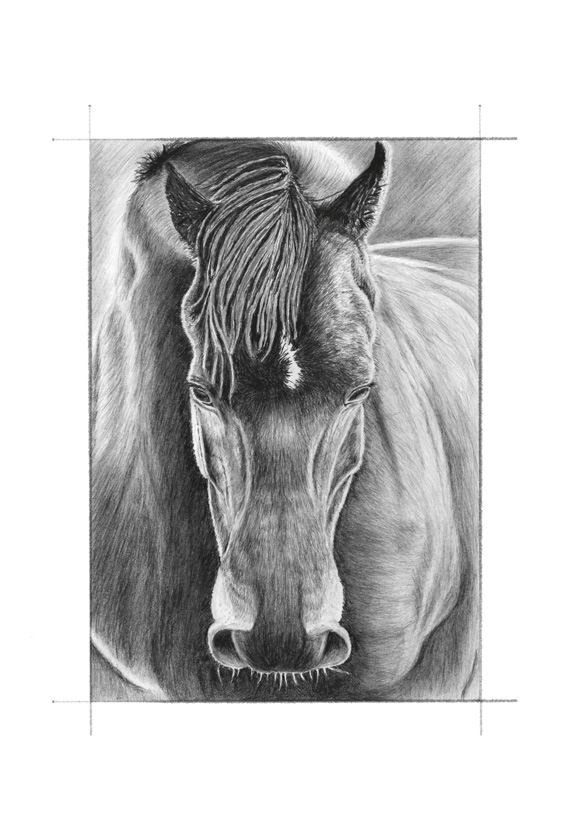 Иллюстрация к книге — Ведьма [i_041.jpg]