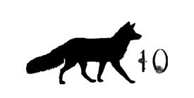 Иллюстрация к книге — Ведьма [i_042.jpg]