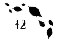 Иллюстрация к книге — Ведьма [i_047.jpg]