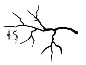 Иллюстрация к книге — Ведьма [i_056.jpg]