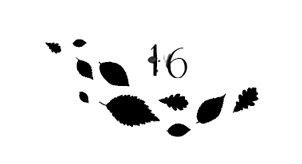 Иллюстрация к книге — Ведьма [i_059.jpg]