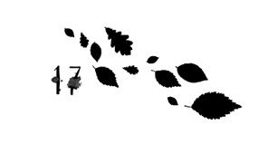 Иллюстрация к книге — Ведьма [i_062.jpg]