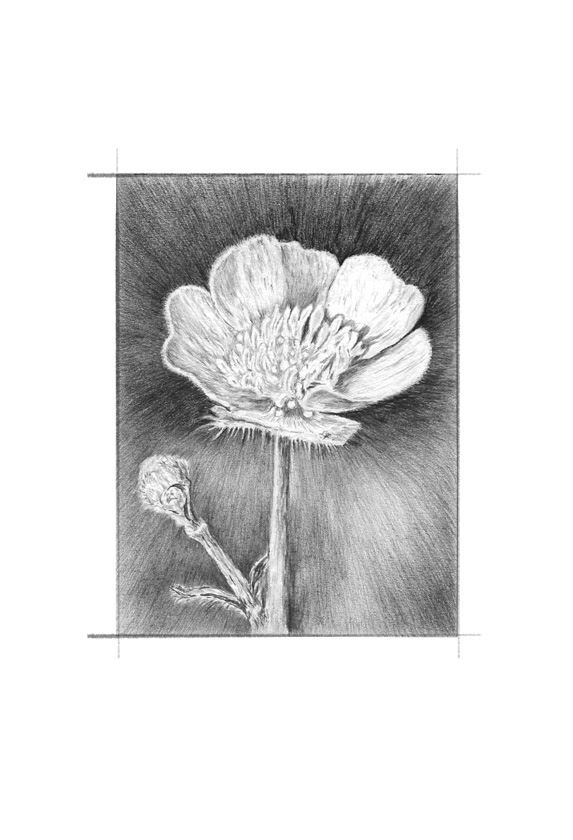 Иллюстрация к книге — Ведьма [i_068.jpg]