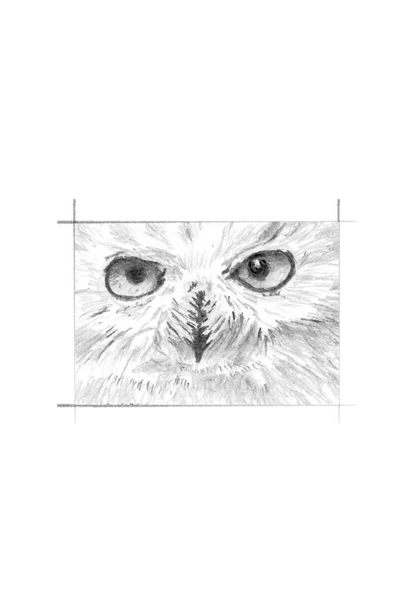 Иллюстрация к книге — Ведьма [i_078.jpg]