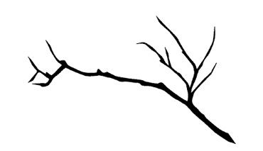 Иллюстрация к книге — Ведьма [i_087.jpg]