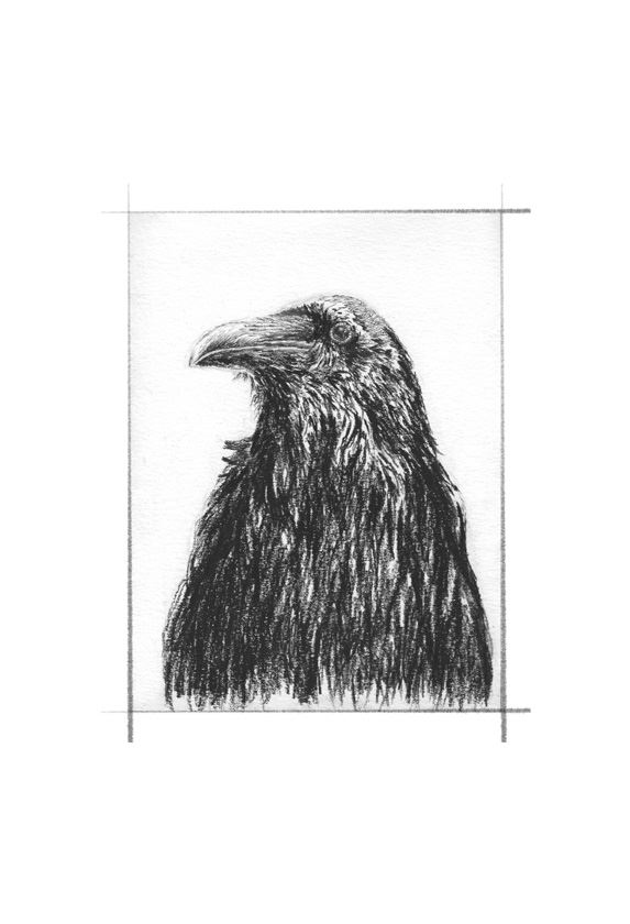 Иллюстрация к книге — Ведьма [i_089.jpg]