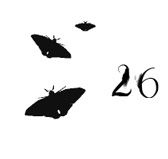 Иллюстрация к книге — Ведьма [i_090.jpg]